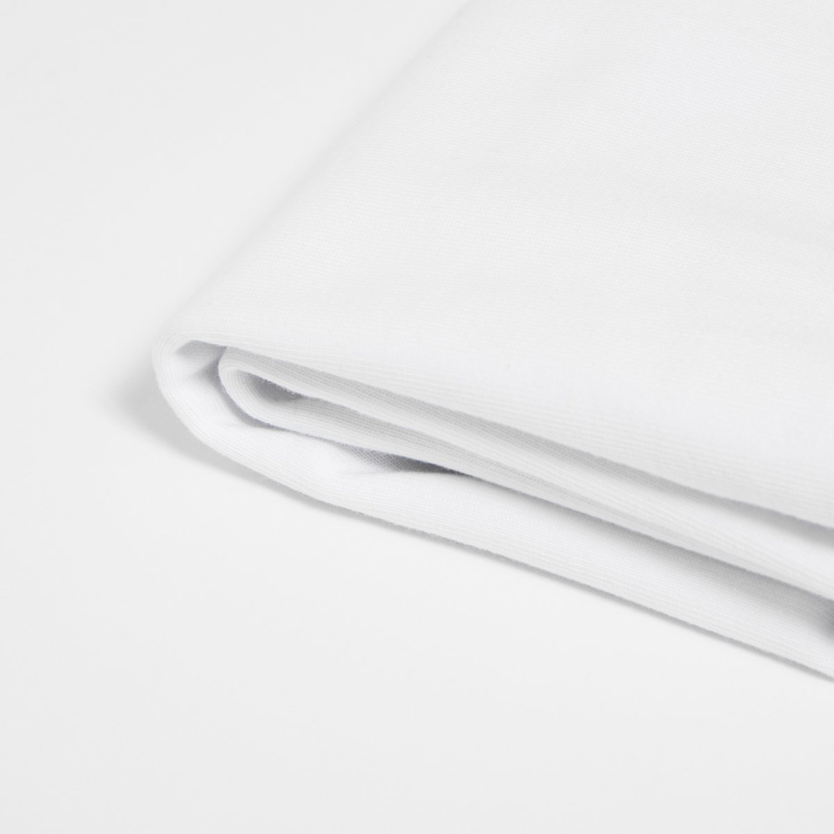 画像8: APPLEBUM(アップルバム) / Ultra Heavyweight Blank T-shirt 12oz (8)