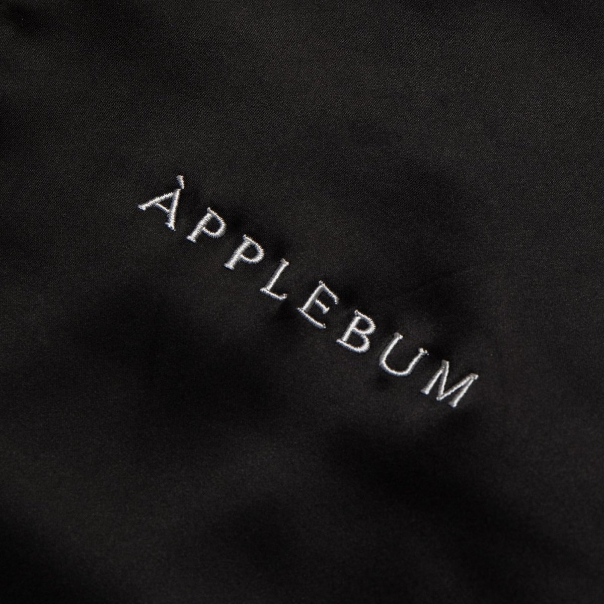 画像6: APPLEBUM(アップルバム) / Spring Stadium Jacket (6)