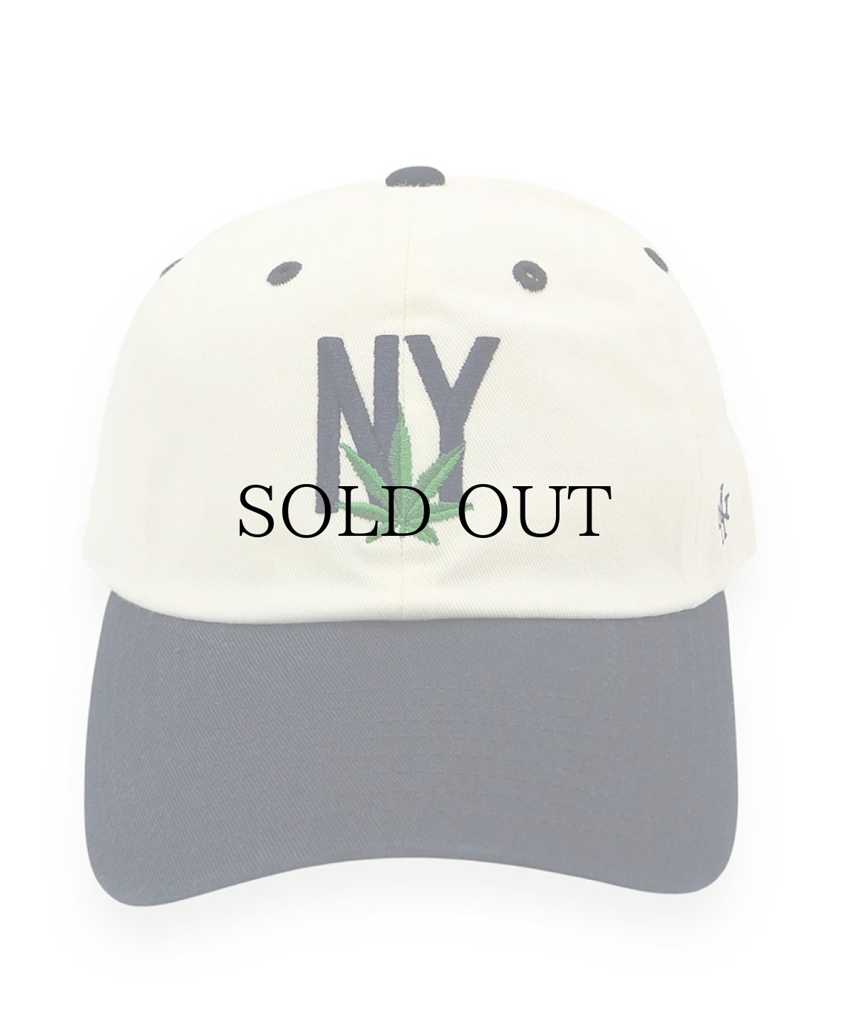 画像2: AMERICAN NEEDLE(アメリカンニードル) / BALLPARK (ニューヨーク) (2)