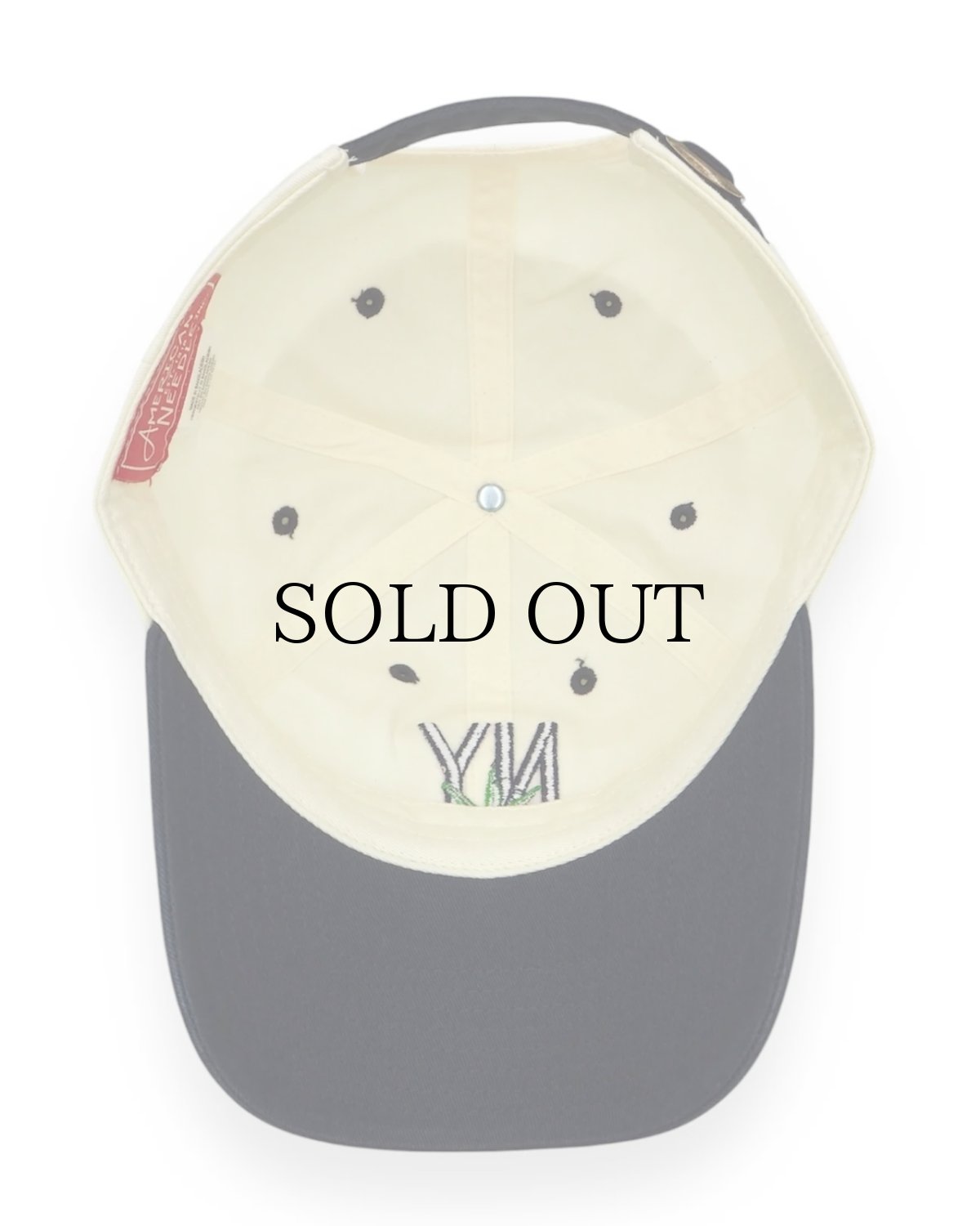 画像6: AMERICAN NEEDLE(アメリカンニードル) / BALLPARK (ニューヨーク) (6)