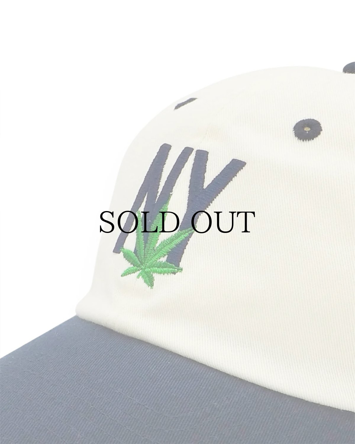 画像3: AMERICAN NEEDLE(アメリカンニードル) / BALLPARK (ニューヨーク) (3)