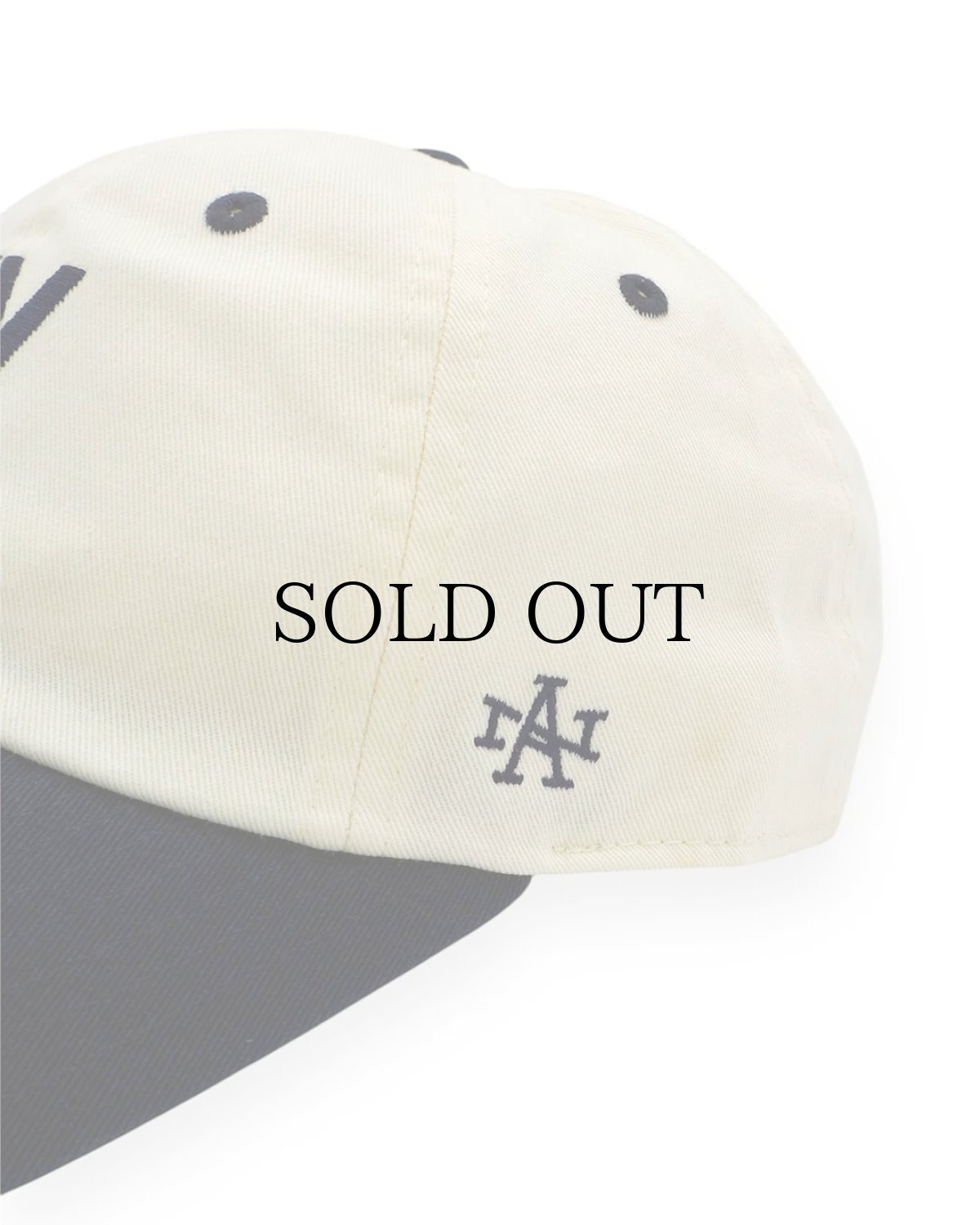 画像4: AMERICAN NEEDLE(アメリカンニードル) / BALLPARK (ニューヨーク) (4)