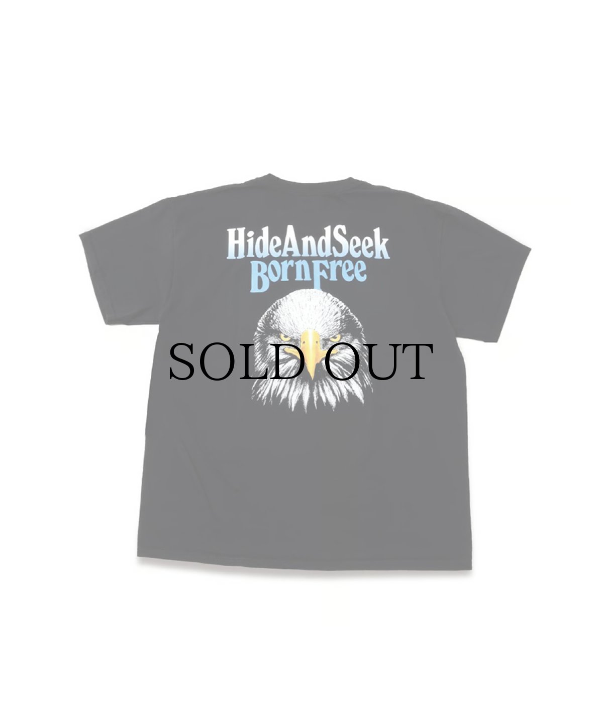 画像2: HIDEANDSEEK(ハイドアンドシーク) / Eagle S/S Tee(Back) (2)