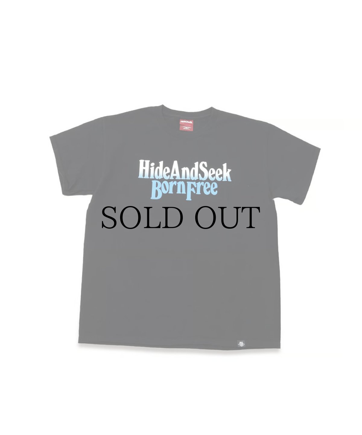 画像1: HIDEANDSEEK(ハイドアンドシーク) / Eagle S/S Tee(Back) (1)