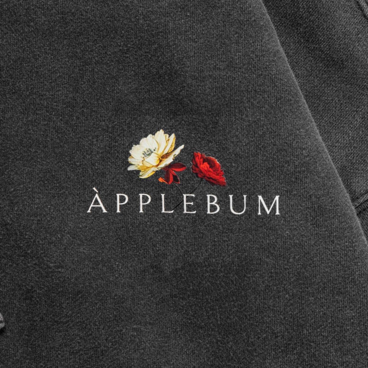 画像7: APPLEBUM(アップルバム) / Dyeing Short Length Parka (7)