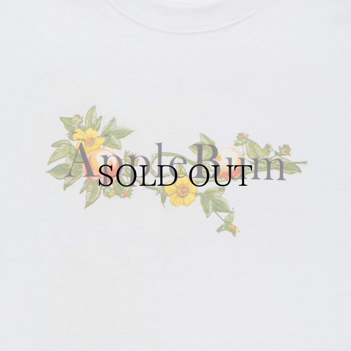 画像6: APPLEBUM(アップルバム) / “Apple Blossom Logo” T-shirt 12oz (6)