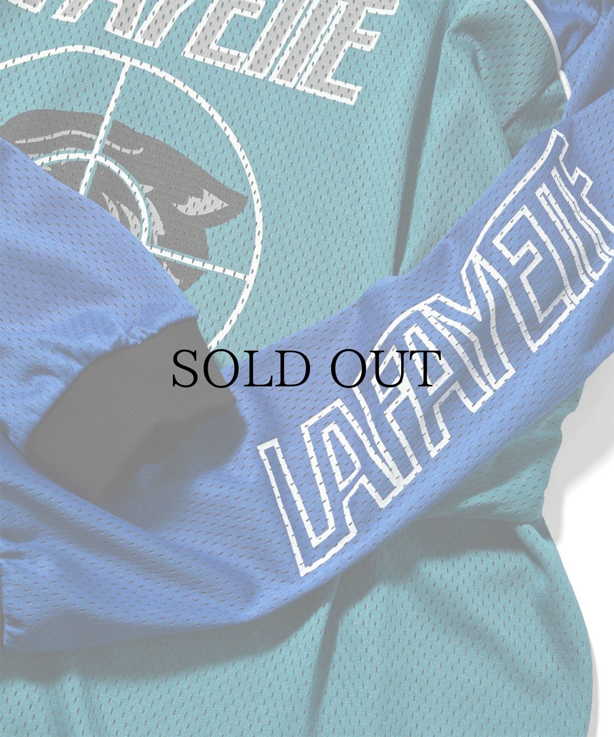 画像13: 【30%OFF】 LFYT(ラファイエット) / TARGET MESH JERSEY (13)