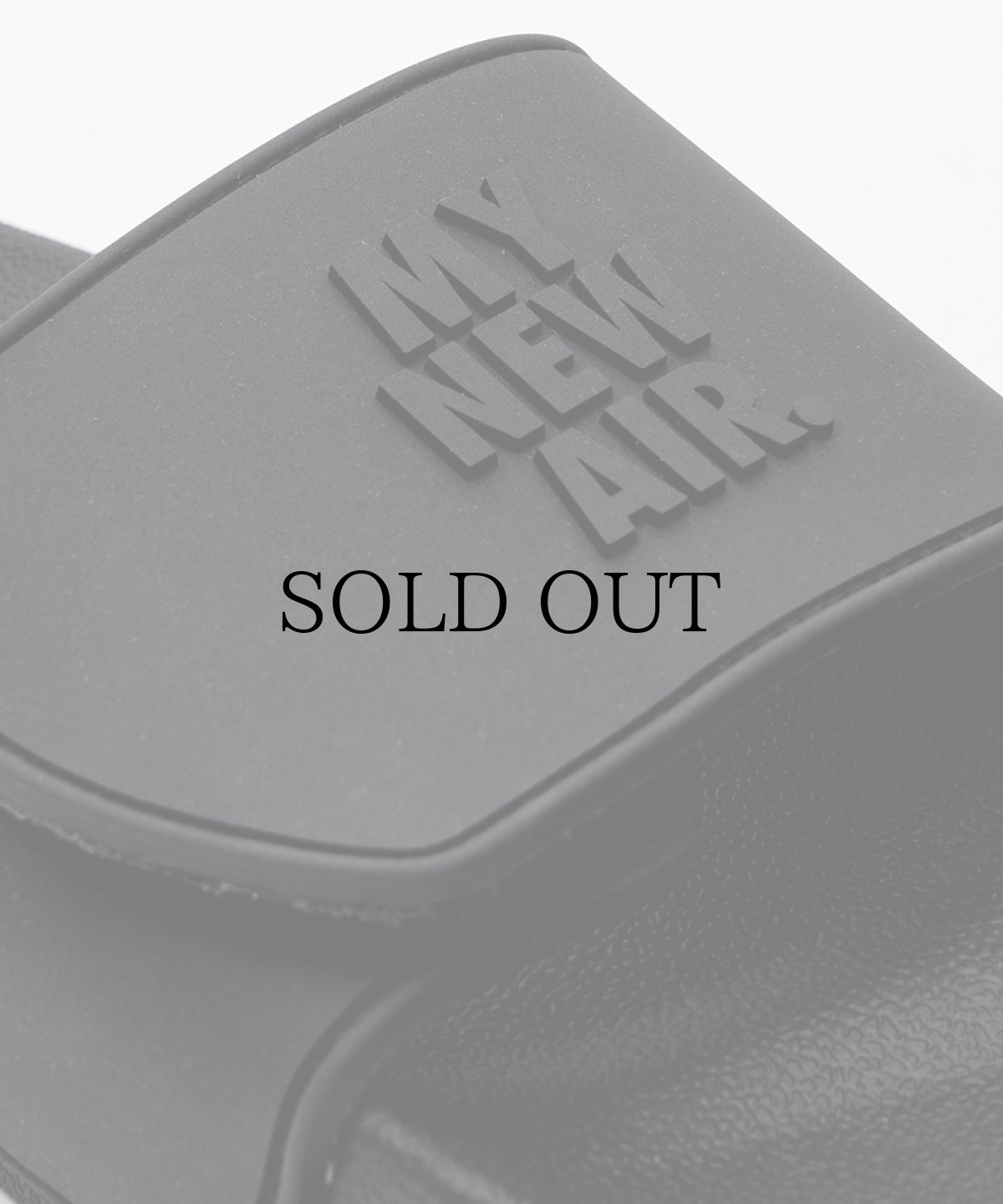 画像11: INTERBREED(インターブリード) / MAX Slider (with Shoes Bag) (11)