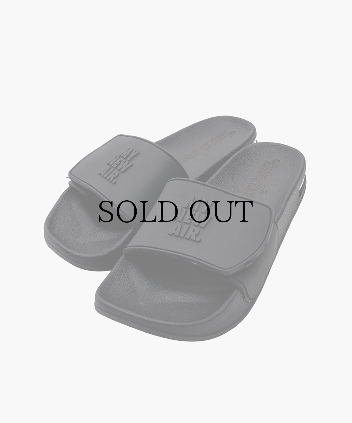 画像7: INTERBREED(インターブリード) / MAX Slider (with Shoes Bag) (7)