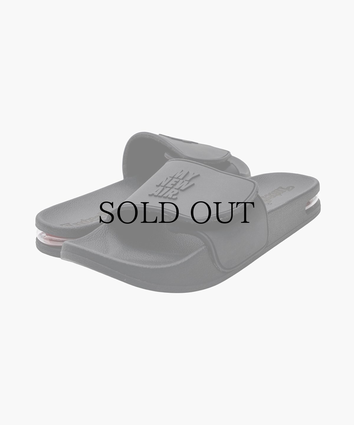 画像2: INTERBREED(インターブリード) / MAX Slider (with Shoes Bag) (2)