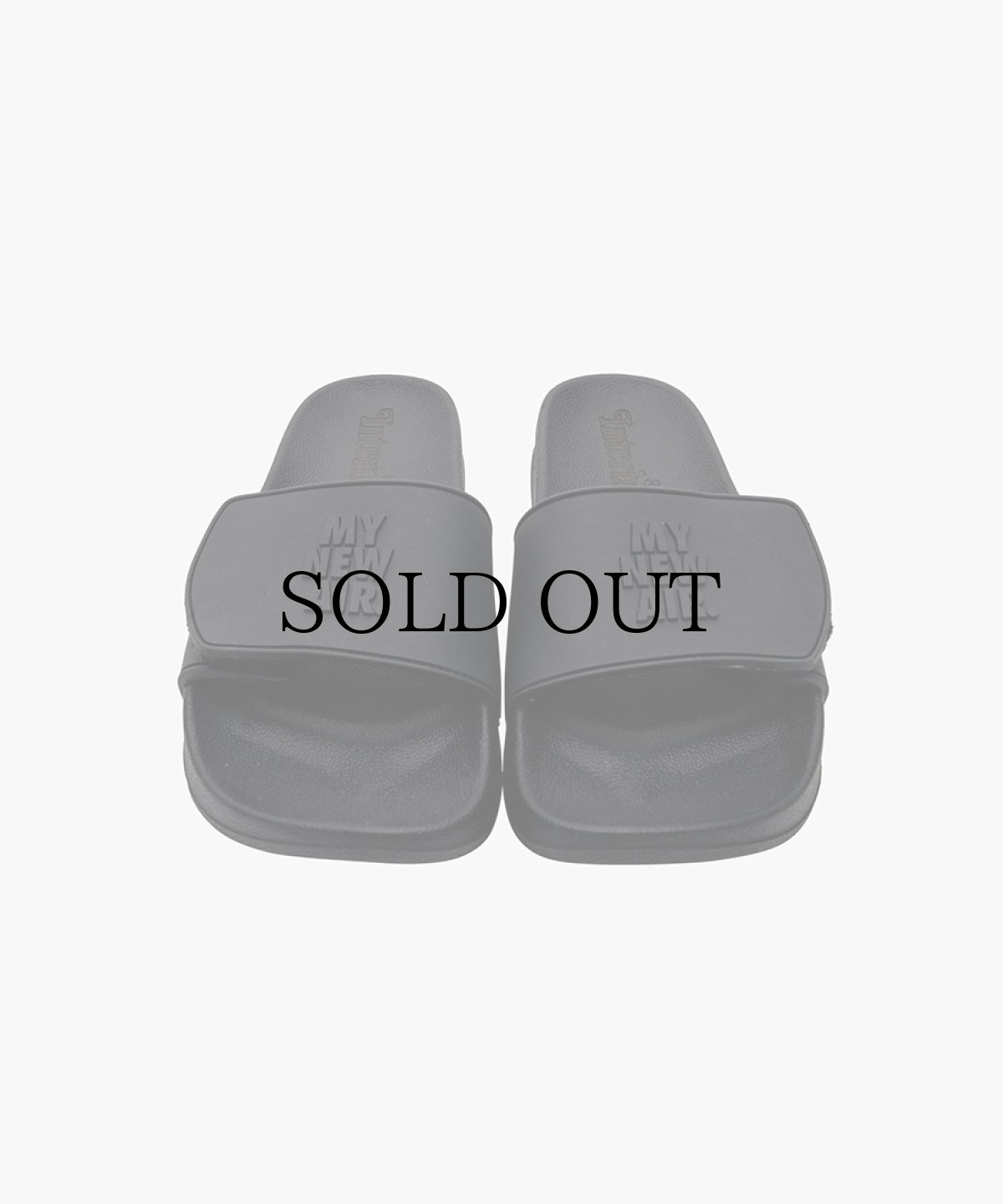 画像3: INTERBREED(インターブリード) / MAX Slider (with Shoes Bag) (3)