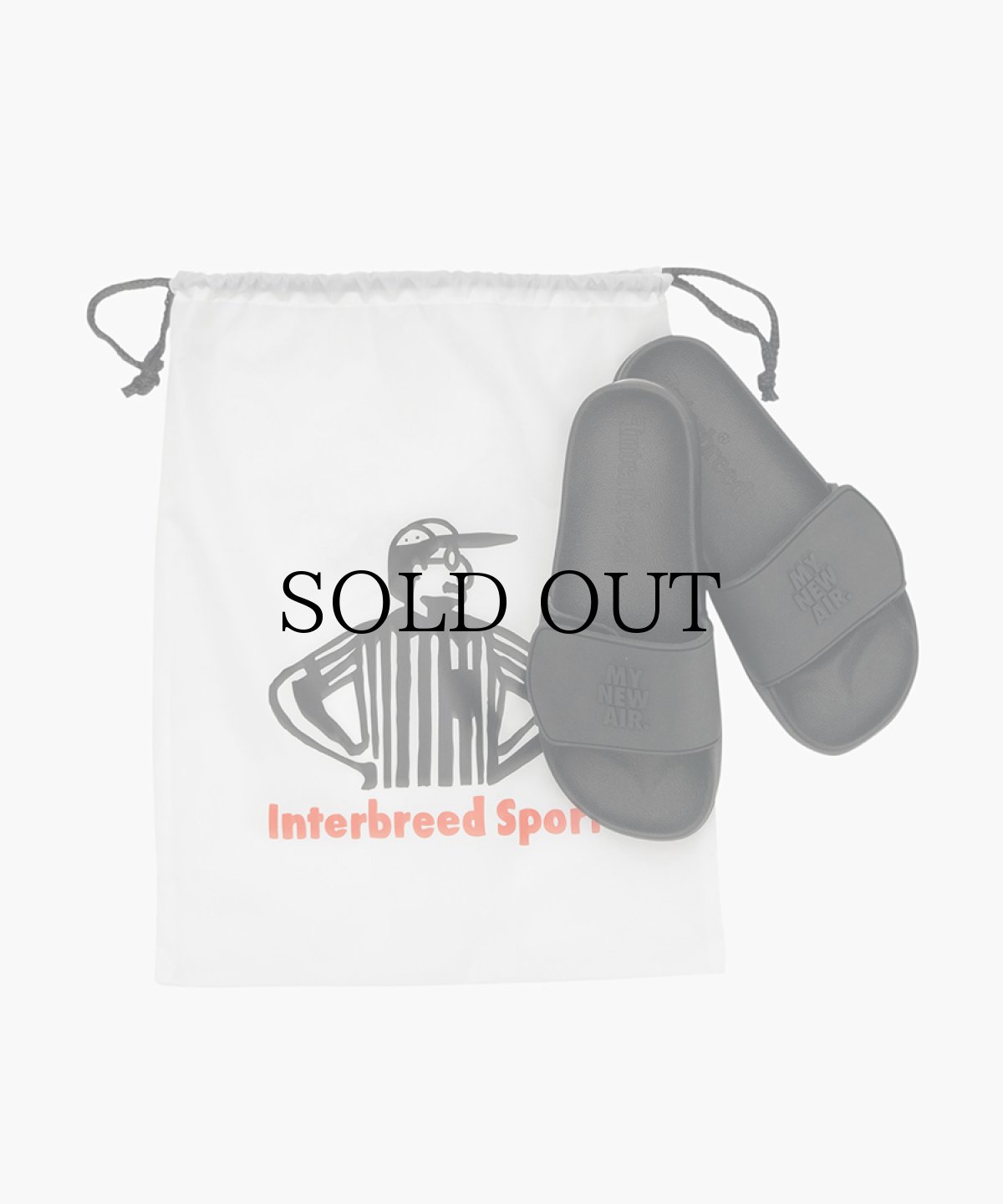 画像1: INTERBREED(インターブリード) / MAX Slider (with Shoes Bag) (1)