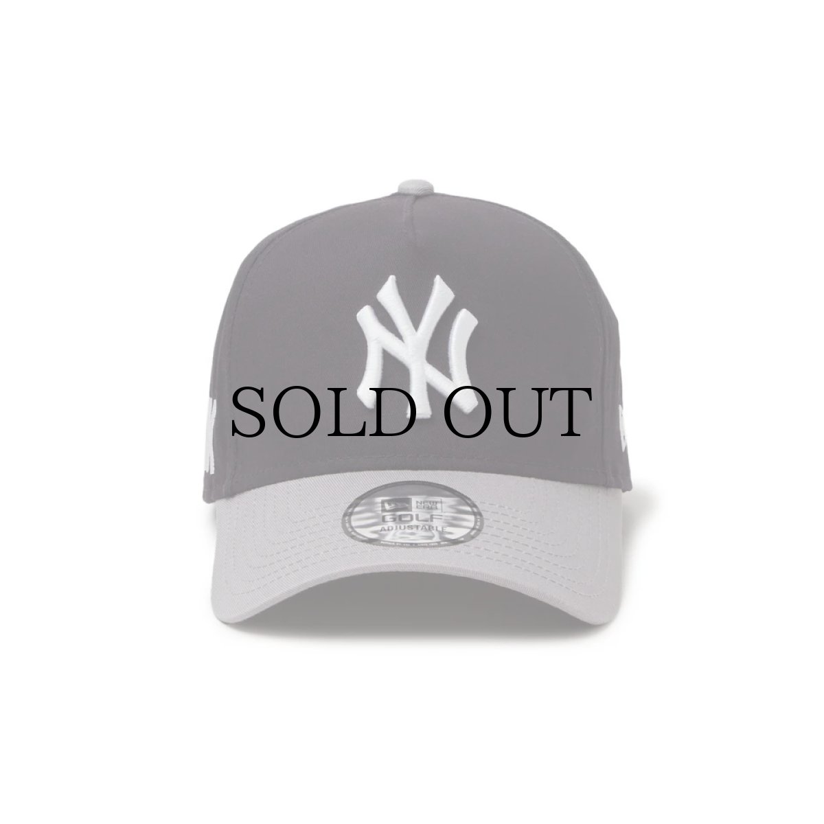 画像2: NEW ERA / 【ゴルフ】9FORTY A-Frame MLB 2-Tone ニューヨーク・ヤンキース (2)