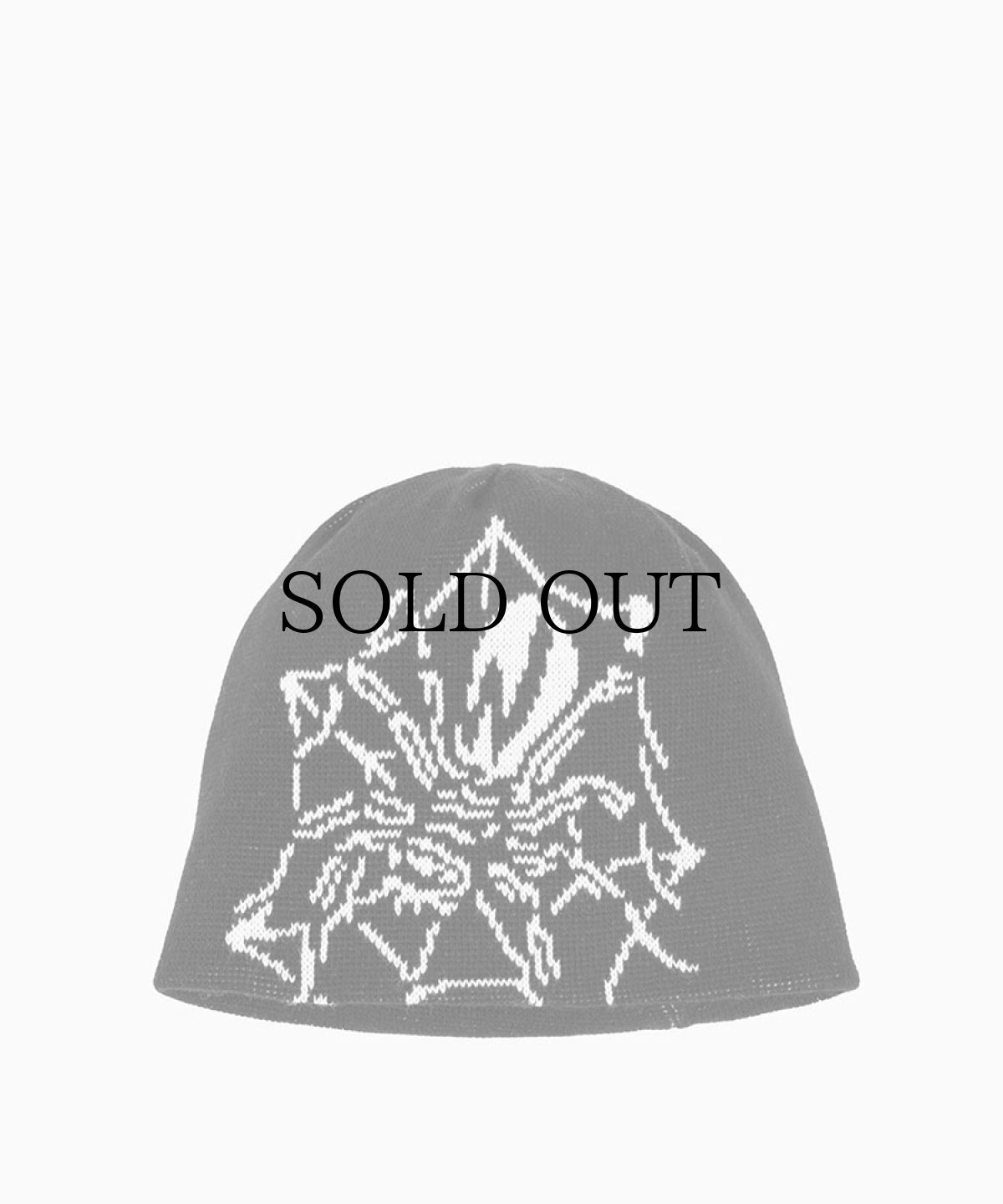 画像1: WASTED PARIS / Prey Reverse Brow Beanie (1)