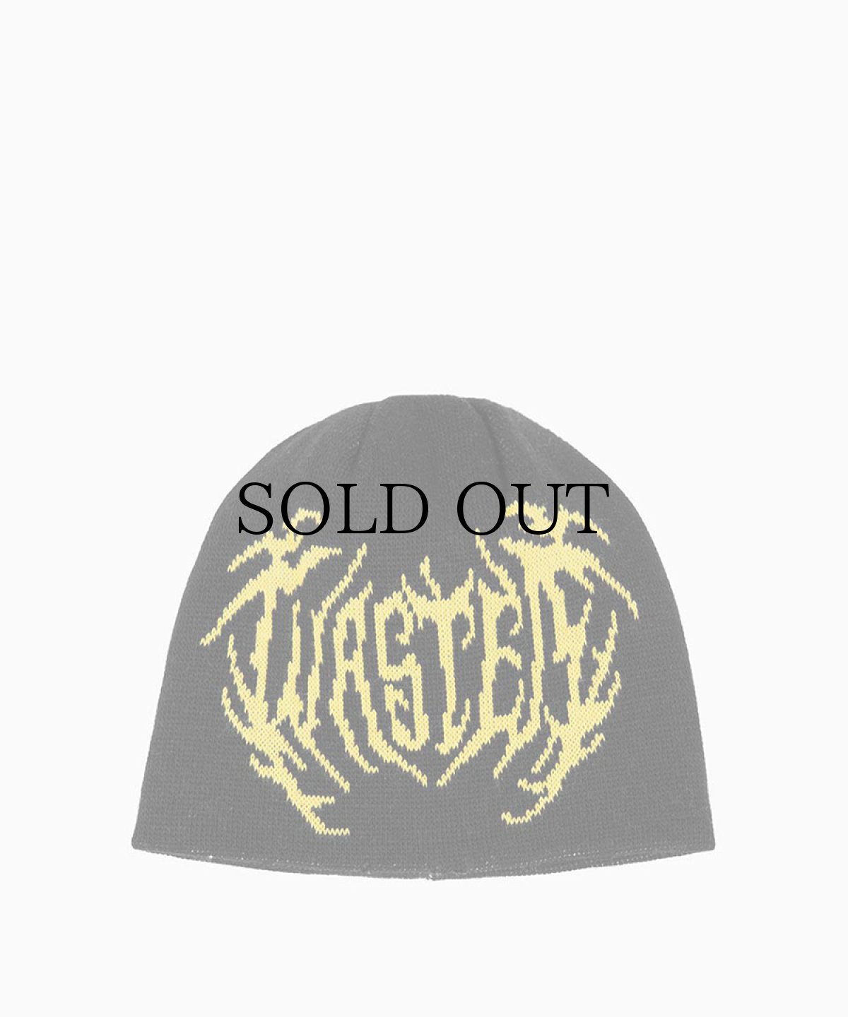 画像2: WASTED PARIS / Prey Reverse Brow Beanie (2)