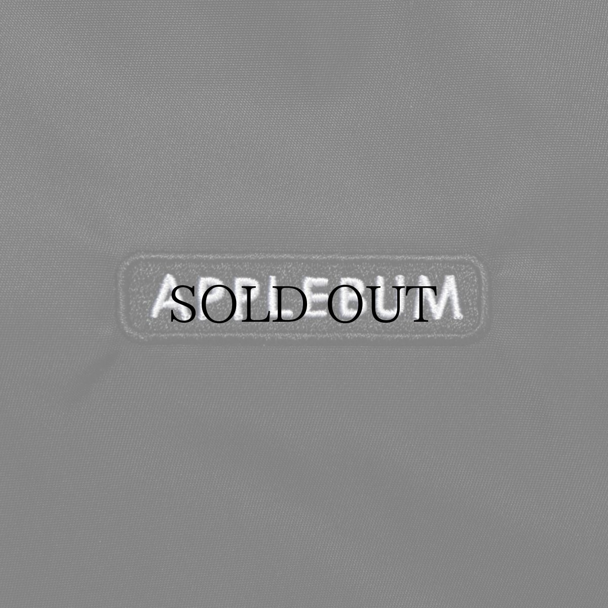 画像5: APPLEBUM(アップルバム) / "Cyber City" Backpack (5)