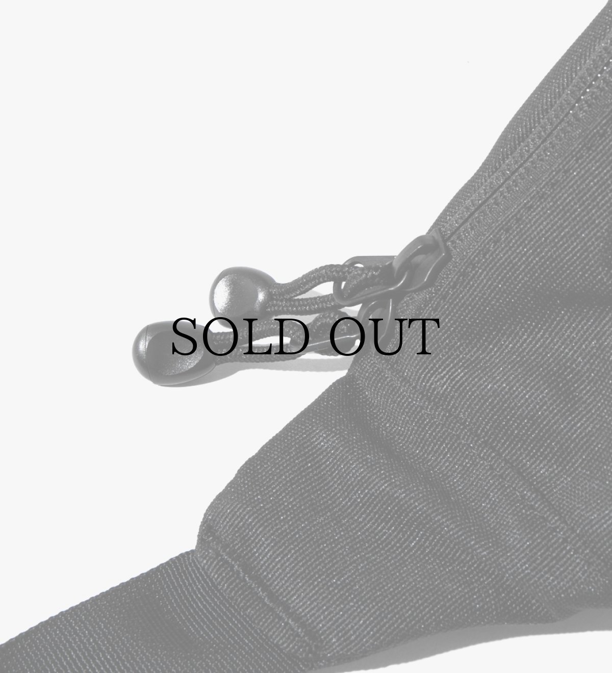 画像6: APPLEBUM(アップルバム) / Logo Waist Bag (6)