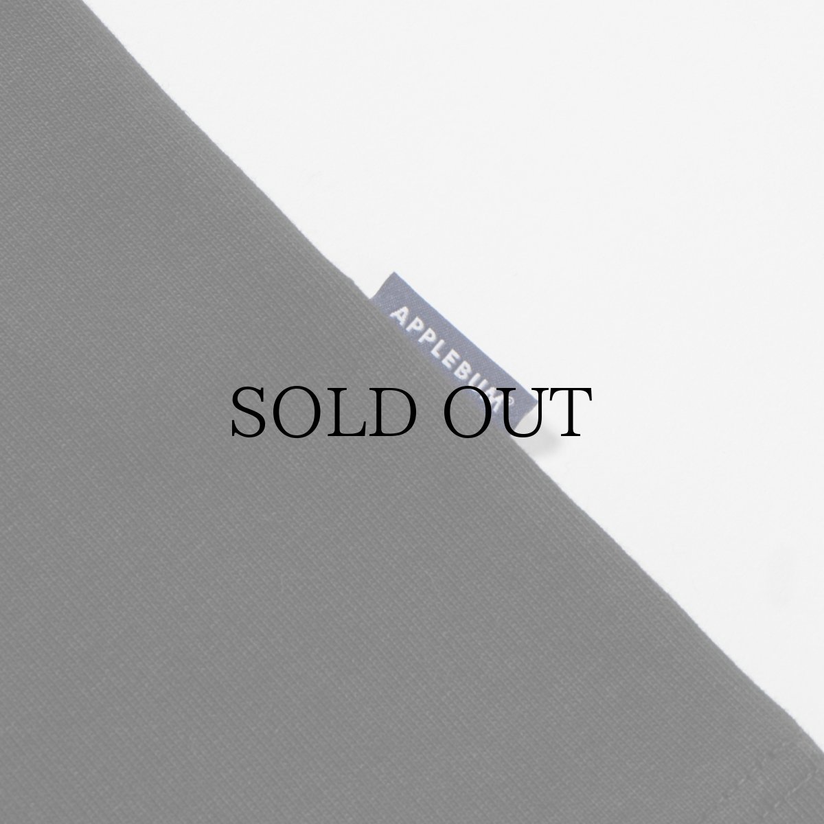 画像12: APPLEBUM(アップルバム) / "Basketteur de la Liberté" T-shirt 12oz (12)