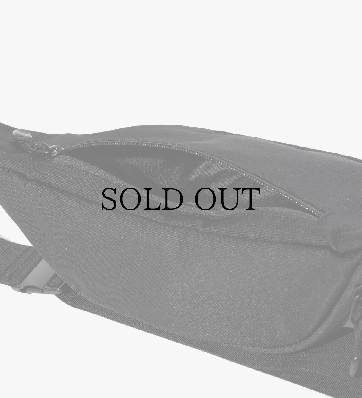 画像9: APPLEBUM(アップルバム) / Logo Waist Bag (9)