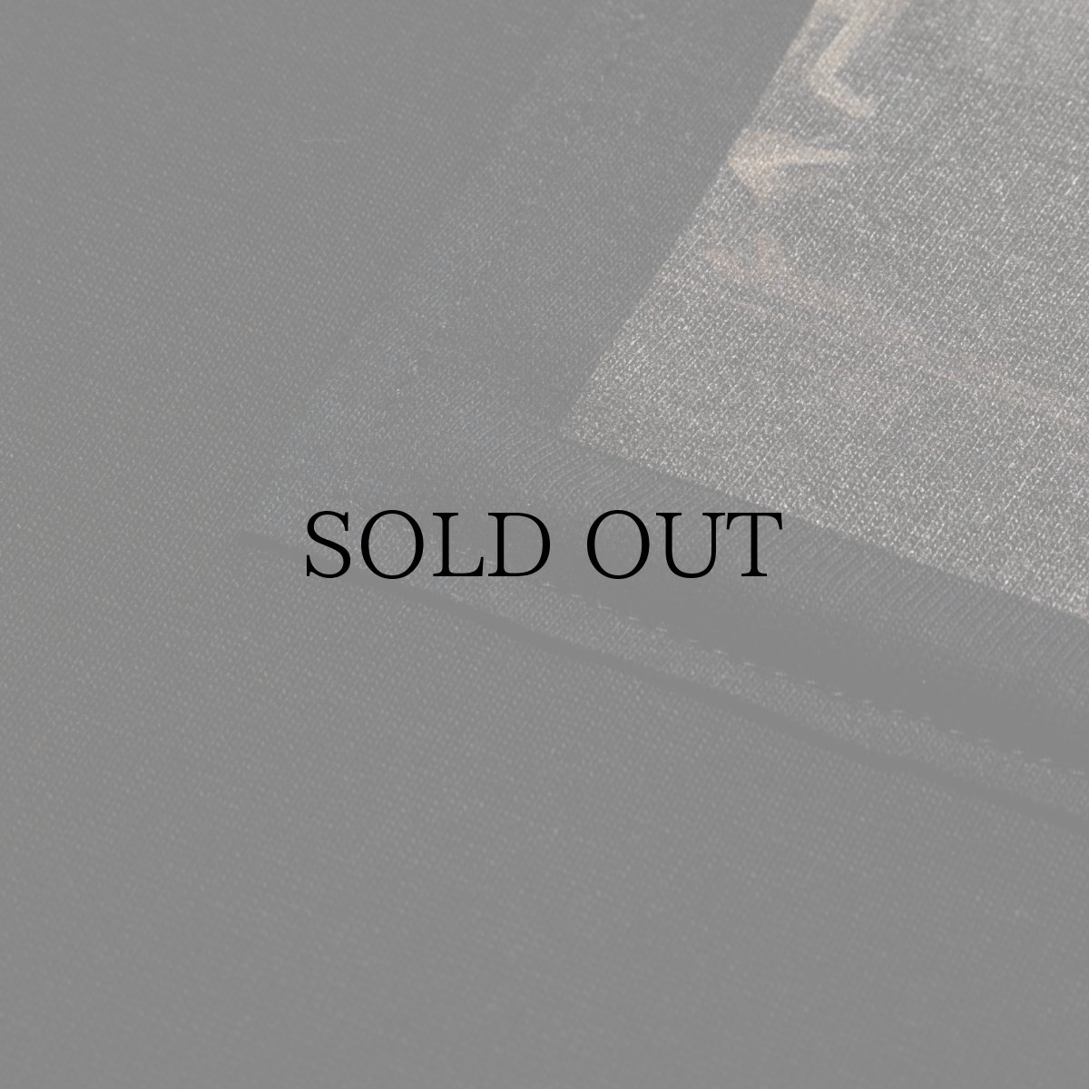 画像8: APPLEBUM(アップルバム) / “Renaissance MC” T-shirt 12oz (8)