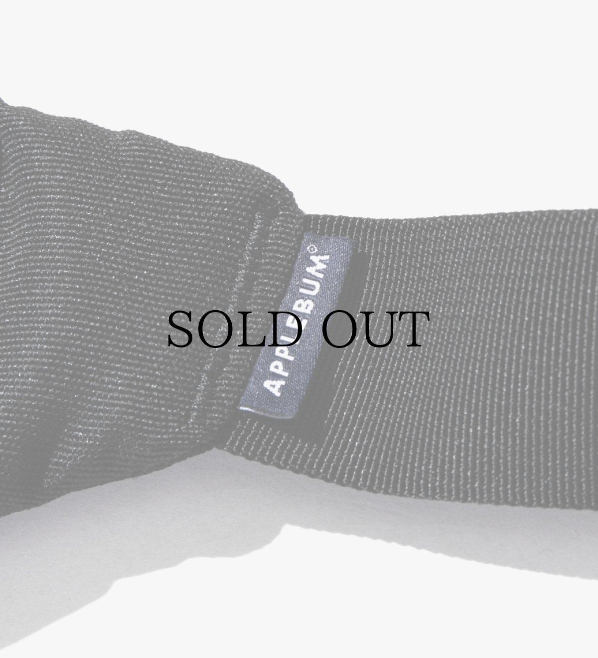 画像5: APPLEBUM(アップルバム) / Logo Waist Bag (5)