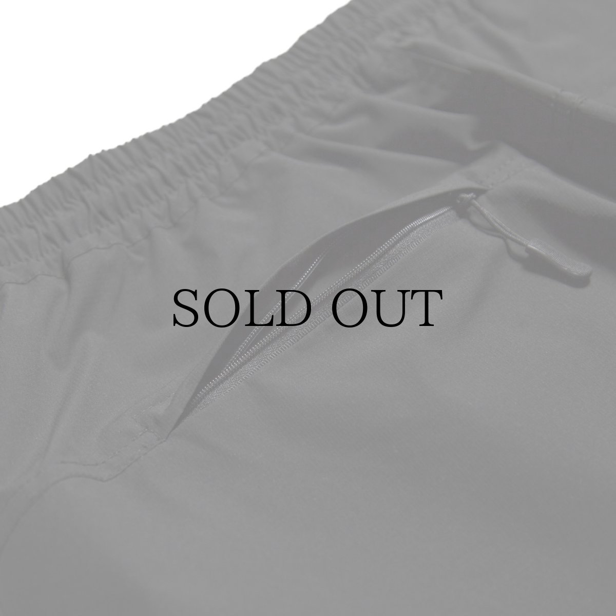 画像23: HAIGHT / RELAXING CARGO SHORTS (23)