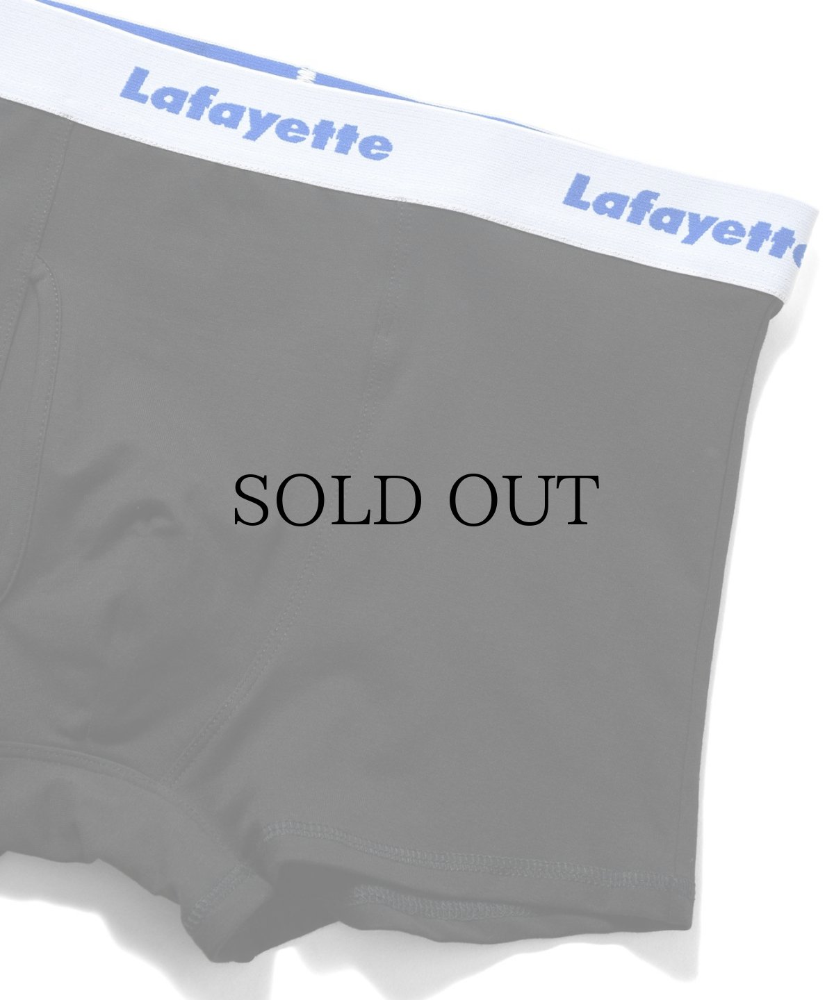 画像11: LFYT(ラファイエット) / Lafayette LOGO BOXER BRIEF (11)