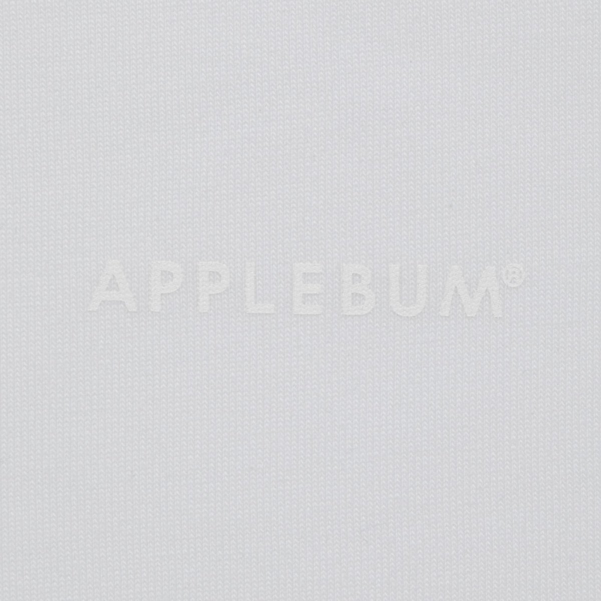 画像9: APPLEBUM(アップルバム) / “LOGO” T-shirt 12oz (9)