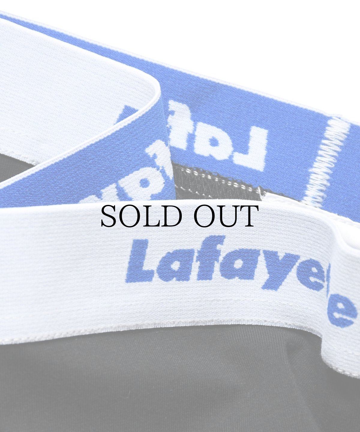 画像14: LFYT(ラファイエット) / Lafayette LOGO BOXER BRIEF (14)