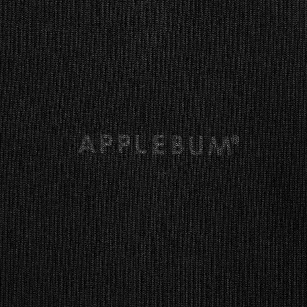 画像8: APPLEBUM(アップルバム) / “LOGO” T-shirt 12oz (8)