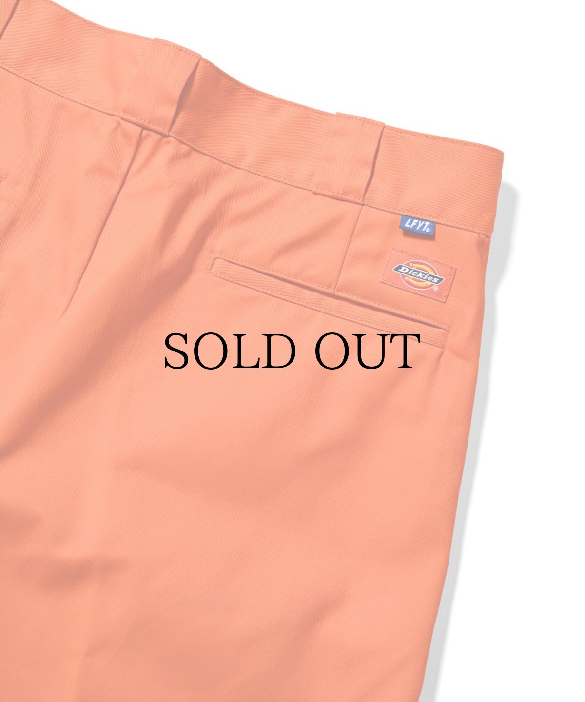 画像37: 【50%OFF】 LFYT(ラファイエット) / DICKIES × LFYT ORIGINAL BAGGIE SHORTS (37)