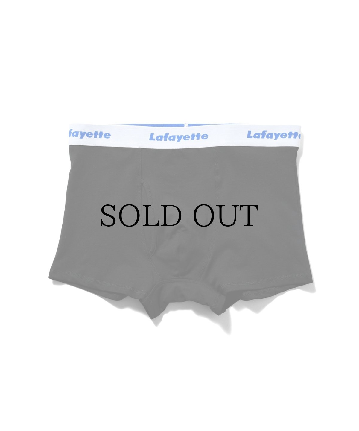 画像2: LFYT(ラファイエット) / Lafayette LOGO BOXER BRIEF (2)