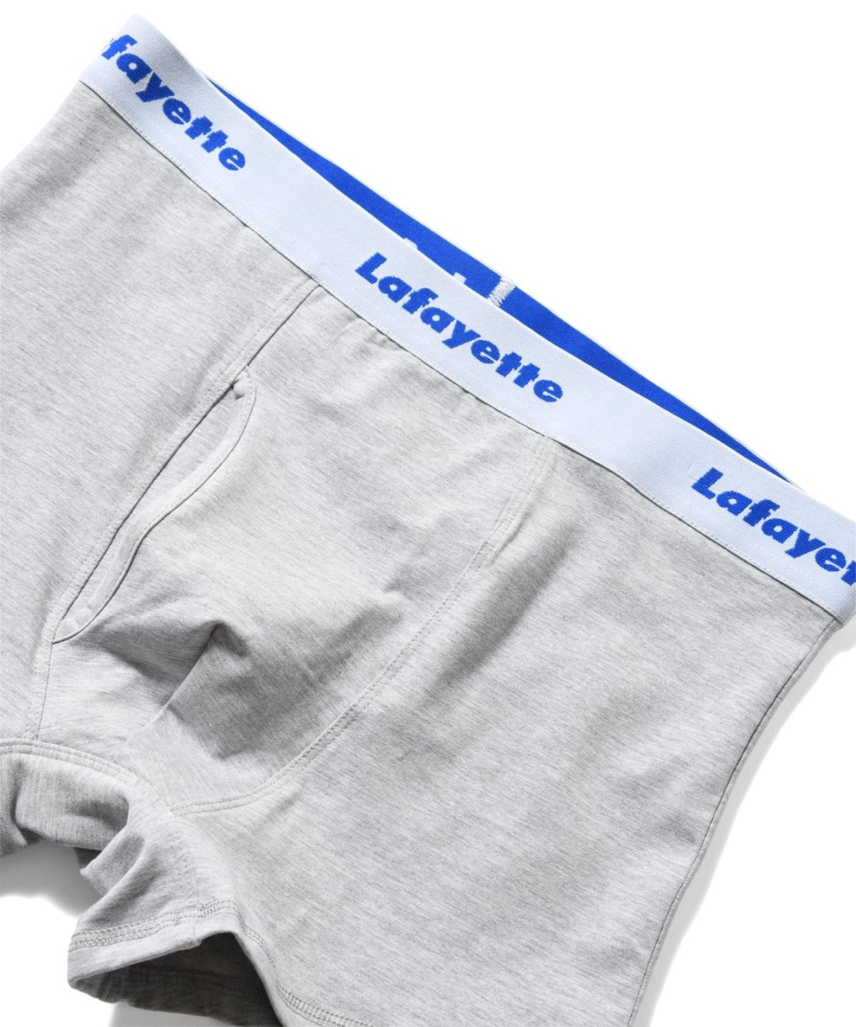 画像12: LFYT(ラファイエット) / Lafayette LOGO BOXER BRIEF (12)