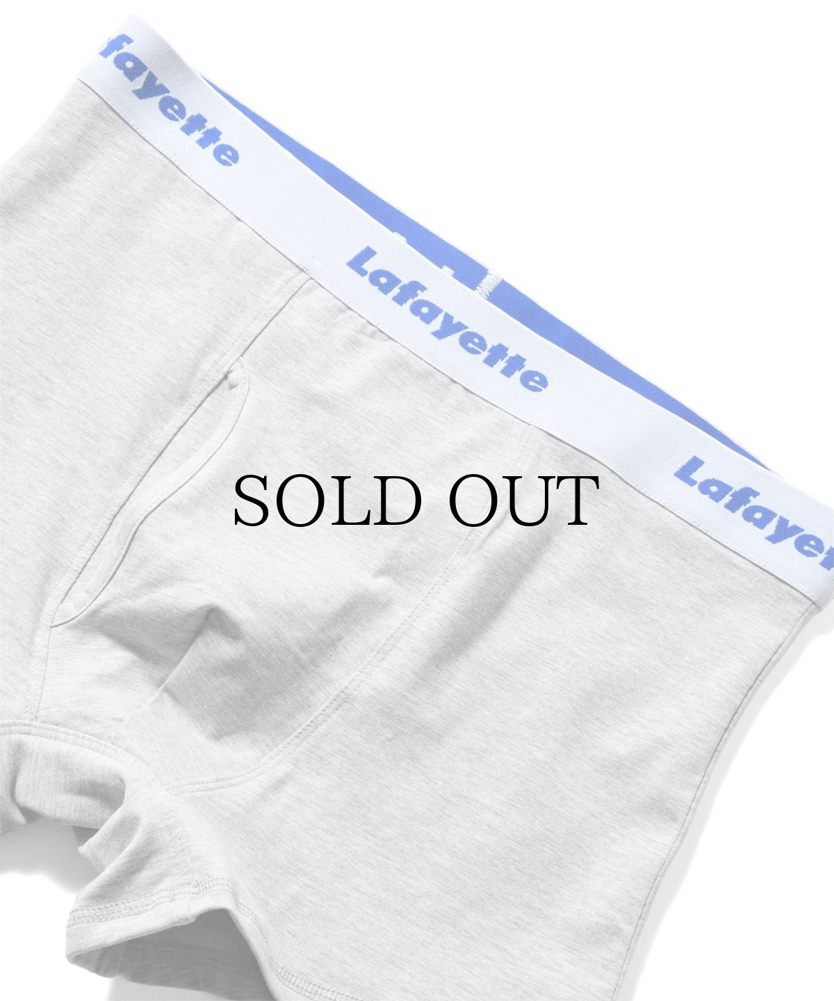 画像12: LFYT(ラファイエット) / Lafayette LOGO BOXER BRIEF (12)