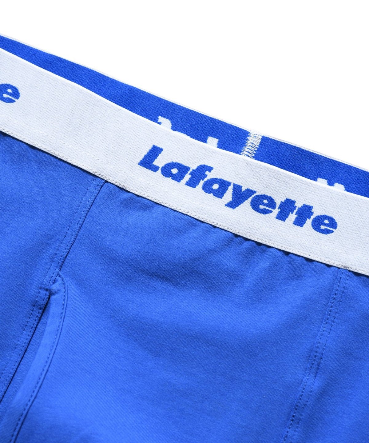 画像10: LFYT(ラファイエット) / Lafayette LOGO BOXER BRIEF (10)