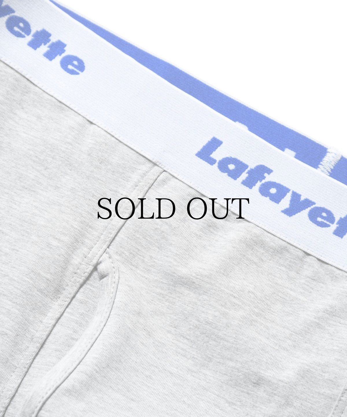 画像9: LFYT(ラファイエット) / Lafayette LOGO BOXER BRIEF (9)