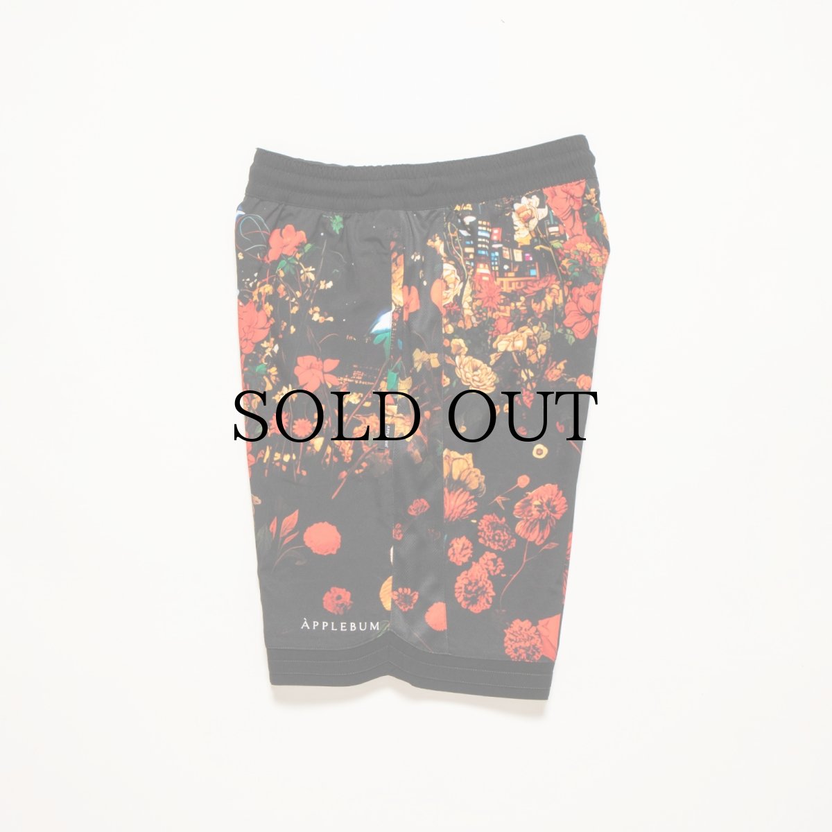 画像4: APPLEBUM(アップルバム) / ”Utopia” Basketball Shorts (4)