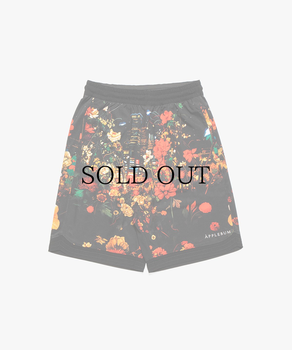 画像1: APPLEBUM(アップルバム) / ”Utopia” Basketball Shorts (1)