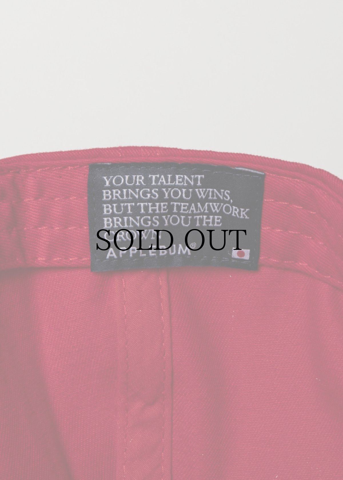 画像32: APPLEBUM(アップルバム) / “AB” Snapback Cap (32)