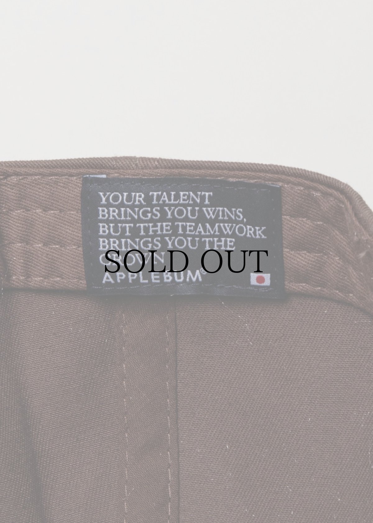 画像31: APPLEBUM(アップルバム) / “AB” Snapback Cap (31)