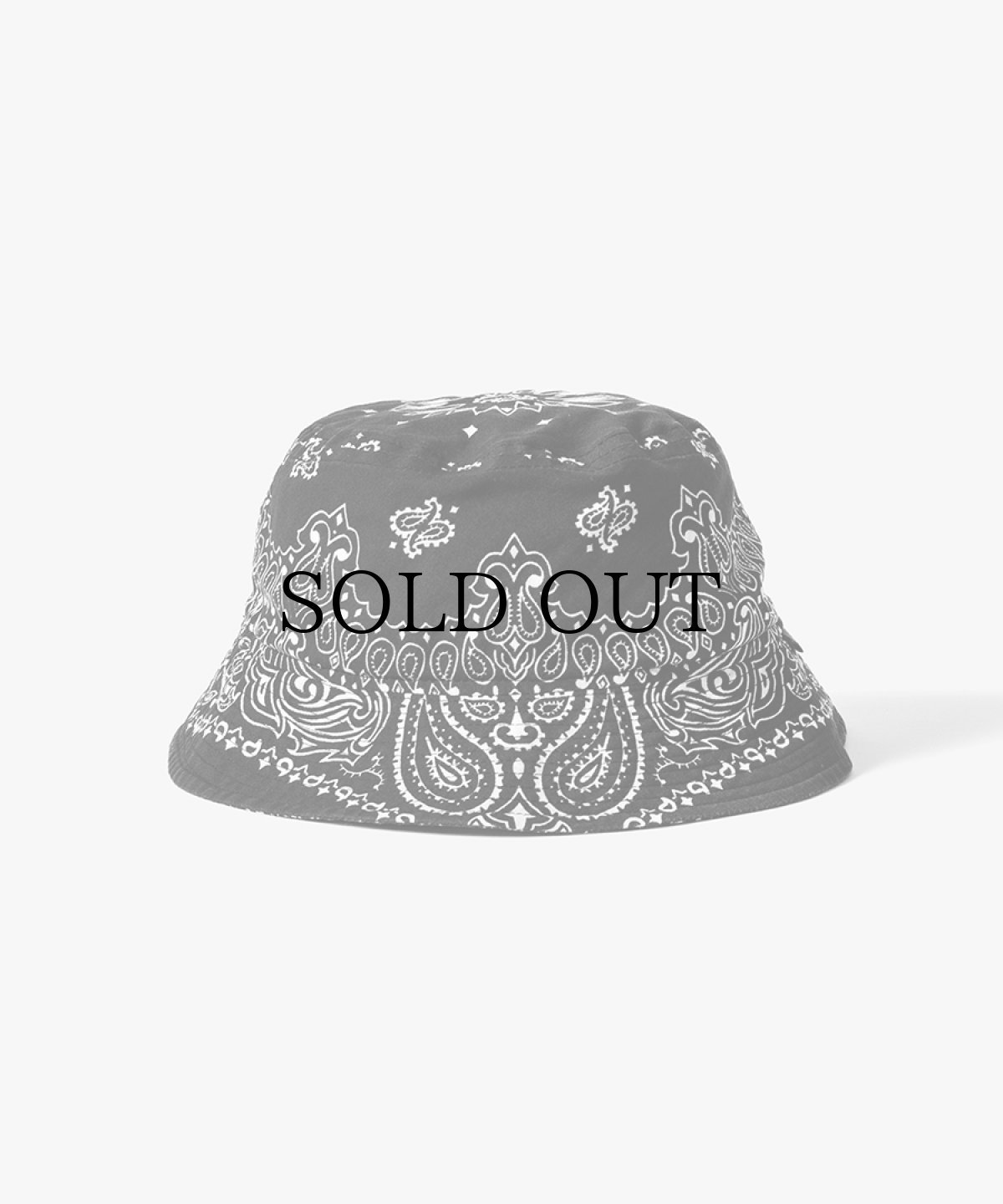画像1: APPLEBUM(アップルバム) / Bandana Bucket Hat (1)