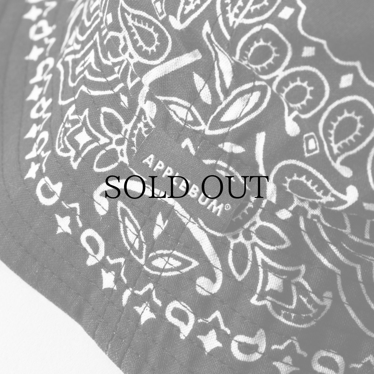 画像17: APPLEBUM(アップルバム) / Bandana Bucket Hat (17)