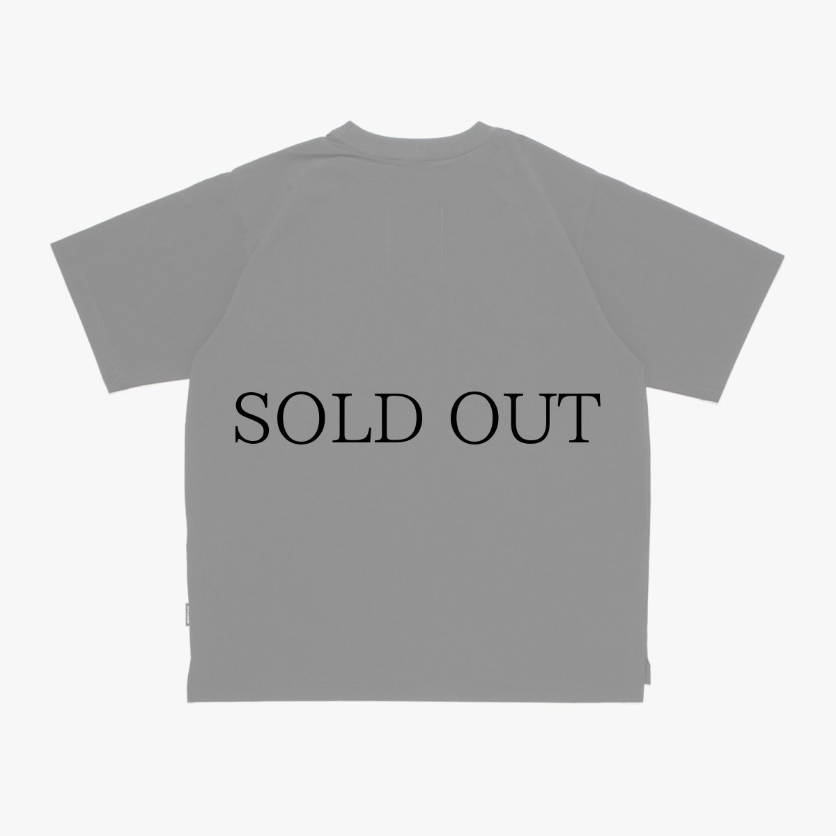 画像10: APPLEBUM(アップルバム) / Phisical Training T-shirt (10)