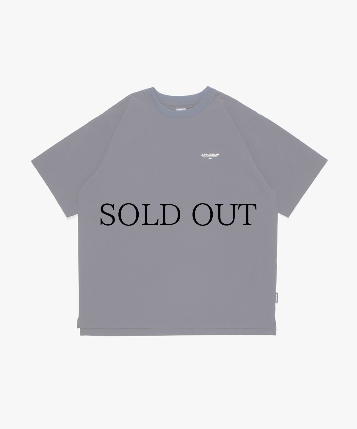 画像3: APPLEBUM(アップルバム) / Phisical Training T-shirt (3)