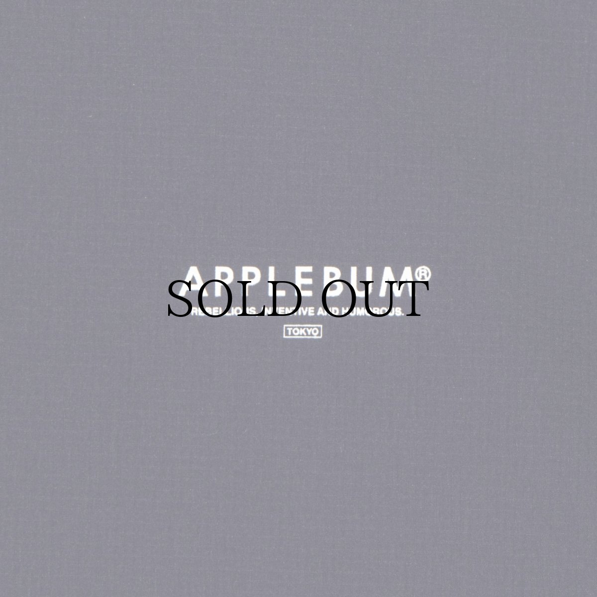 画像16: APPLEBUM(アップルバム) / Phisical Training T-shirt (16)