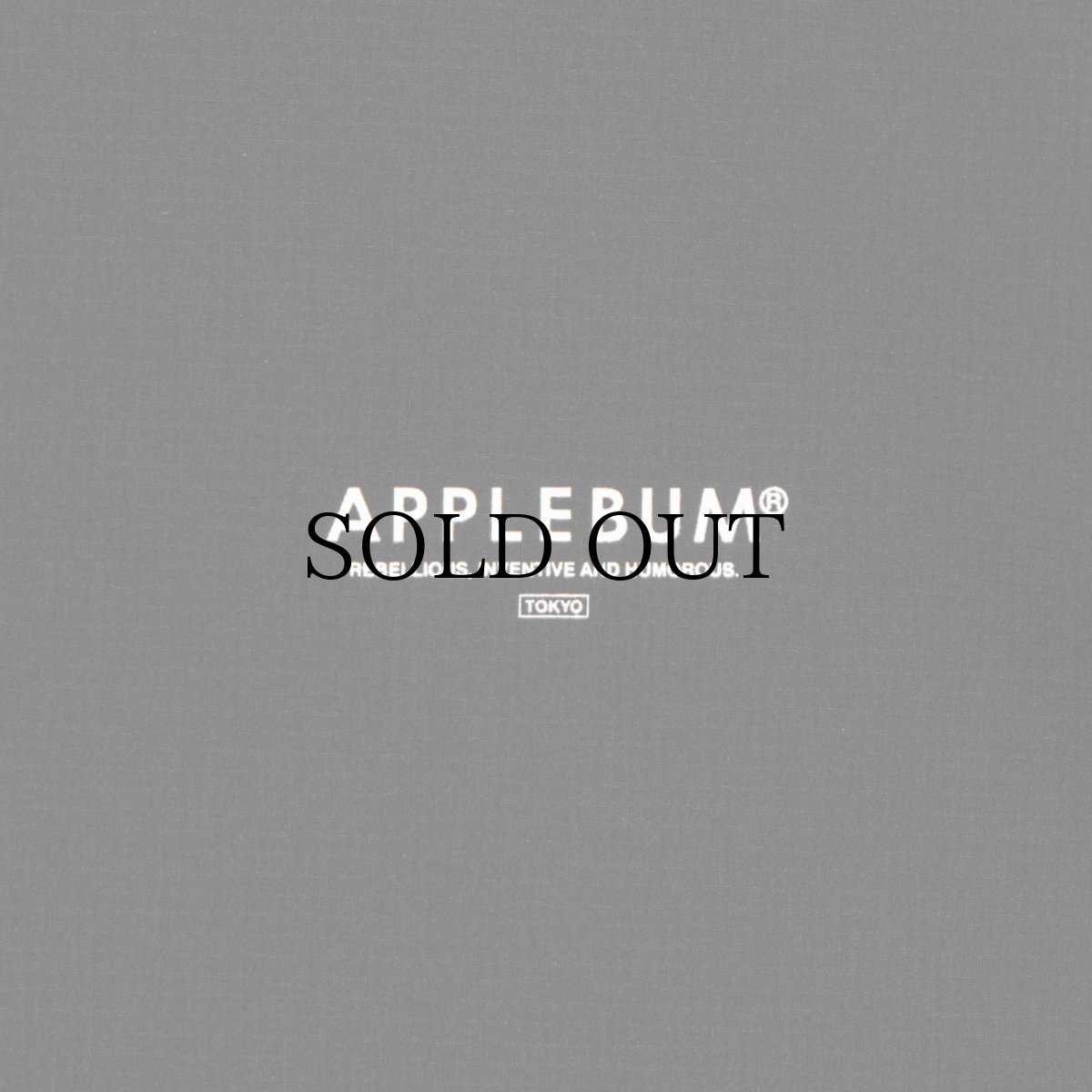 画像14: APPLEBUM(アップルバム) / Phisical Training T-shirt (14)