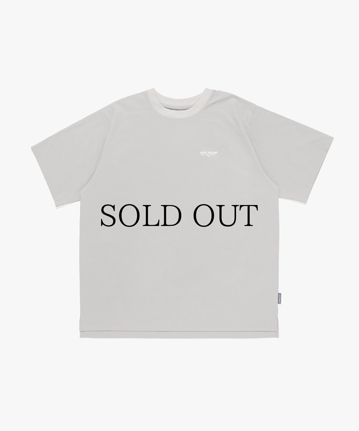 画像2: APPLEBUM(アップルバム) / Phisical Training T-shirt (2)