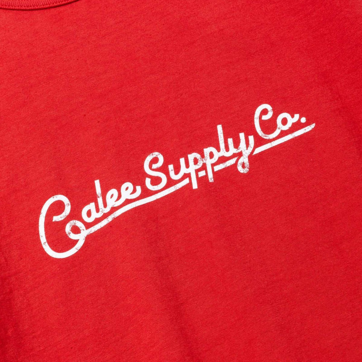 画像10: CALEE(キャリー) / VINTAGE REPRODUCT RAGLAN S/S CS (10)