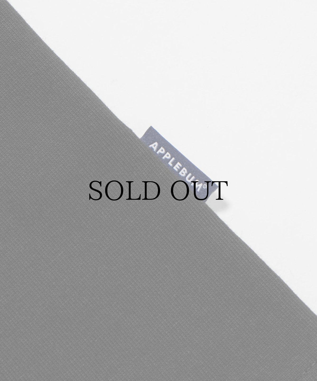 画像8: APPLEBUM(アップルバム) / "Journey Into Sound” T-shirt 12oz (8)