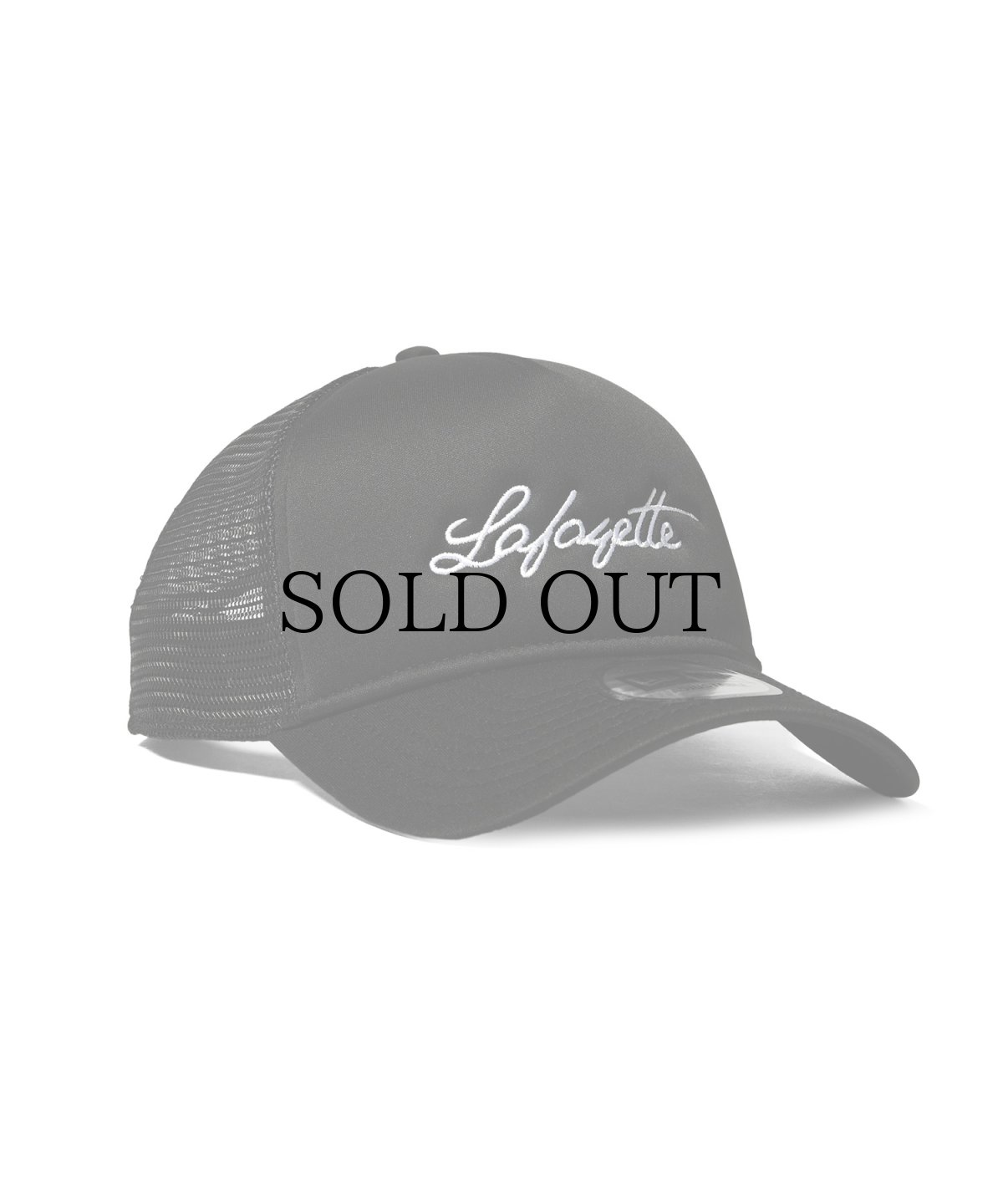 画像6: 【40%OFF】 LFYT(ラファイエット) / LFYT × NEW ERA SCRIPT LOGO 9FORTY MESH CAP (6)